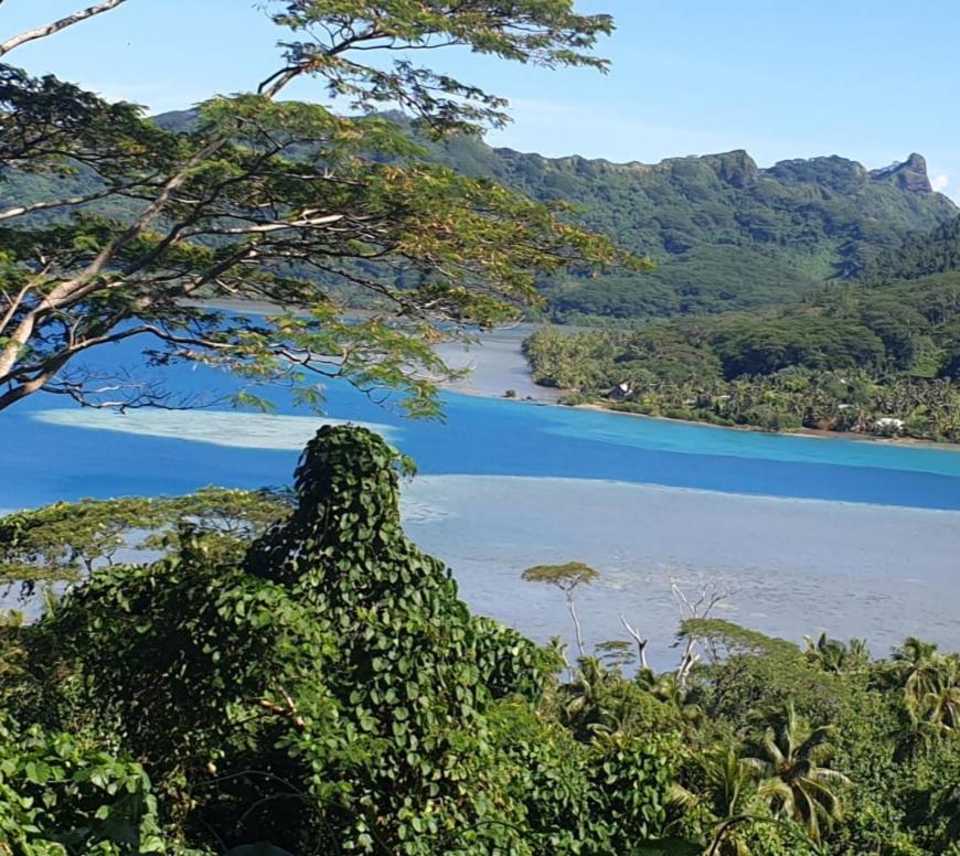 Huahine Manta Lodge Avec 4X4 Optionnel Haapu Zewnętrze zdjęcie
