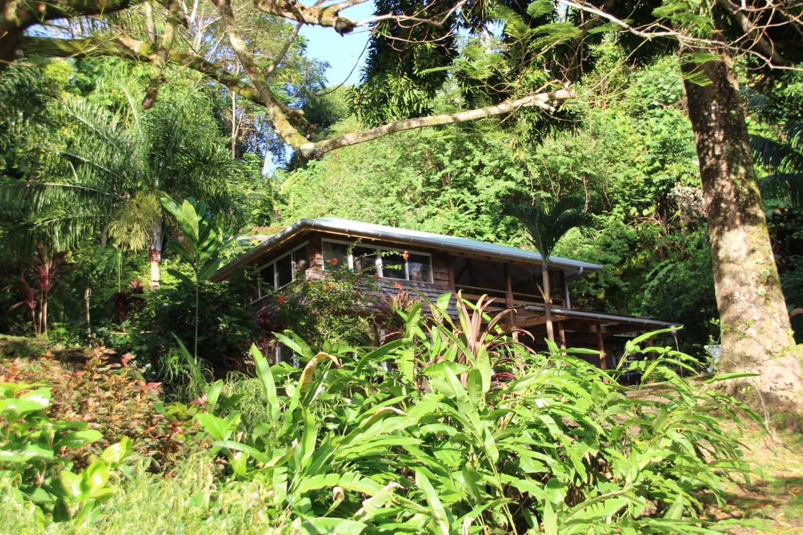 Huahine Manta Lodge Avec 4X4 Optionnel Haapu Zewnętrze zdjęcie