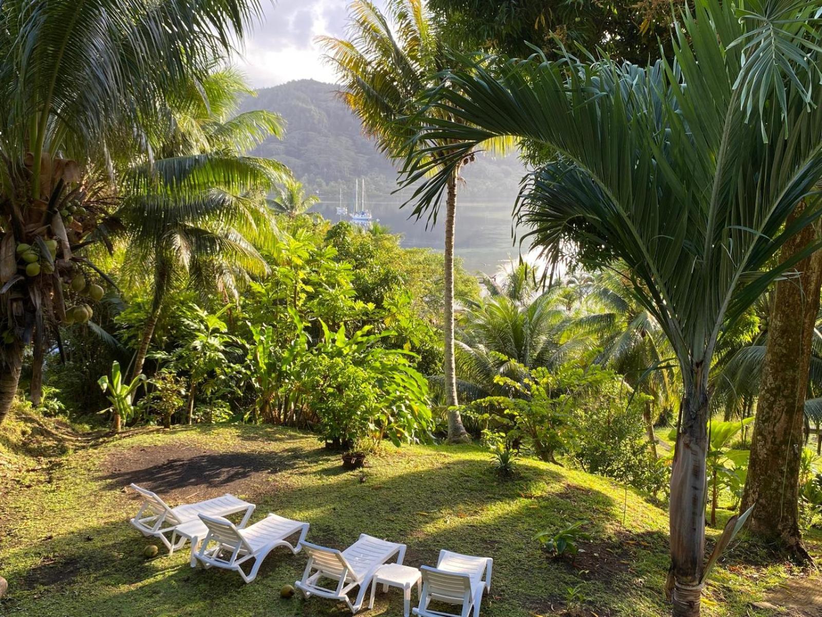 Huahine Manta Lodge Avec 4X4 Optionnel Haapu Zewnętrze zdjęcie