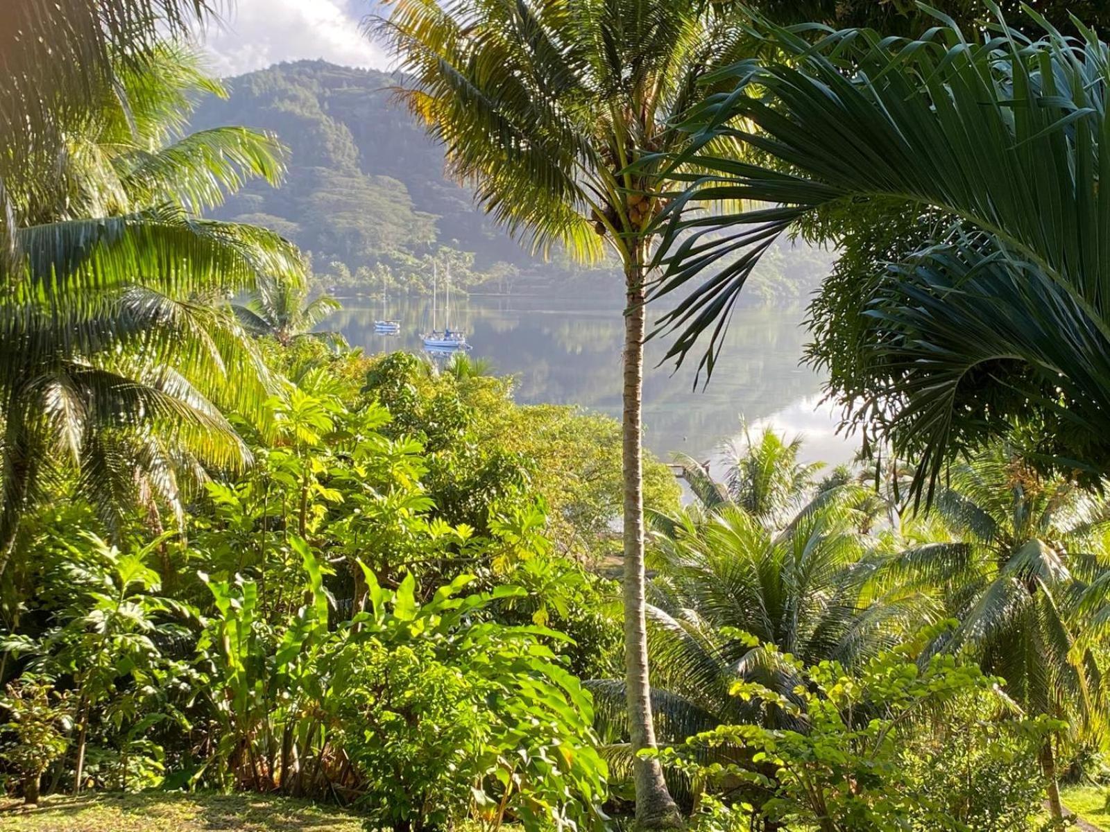 Huahine Manta Lodge Avec 4X4 Optionnel Haapu Zewnętrze zdjęcie
