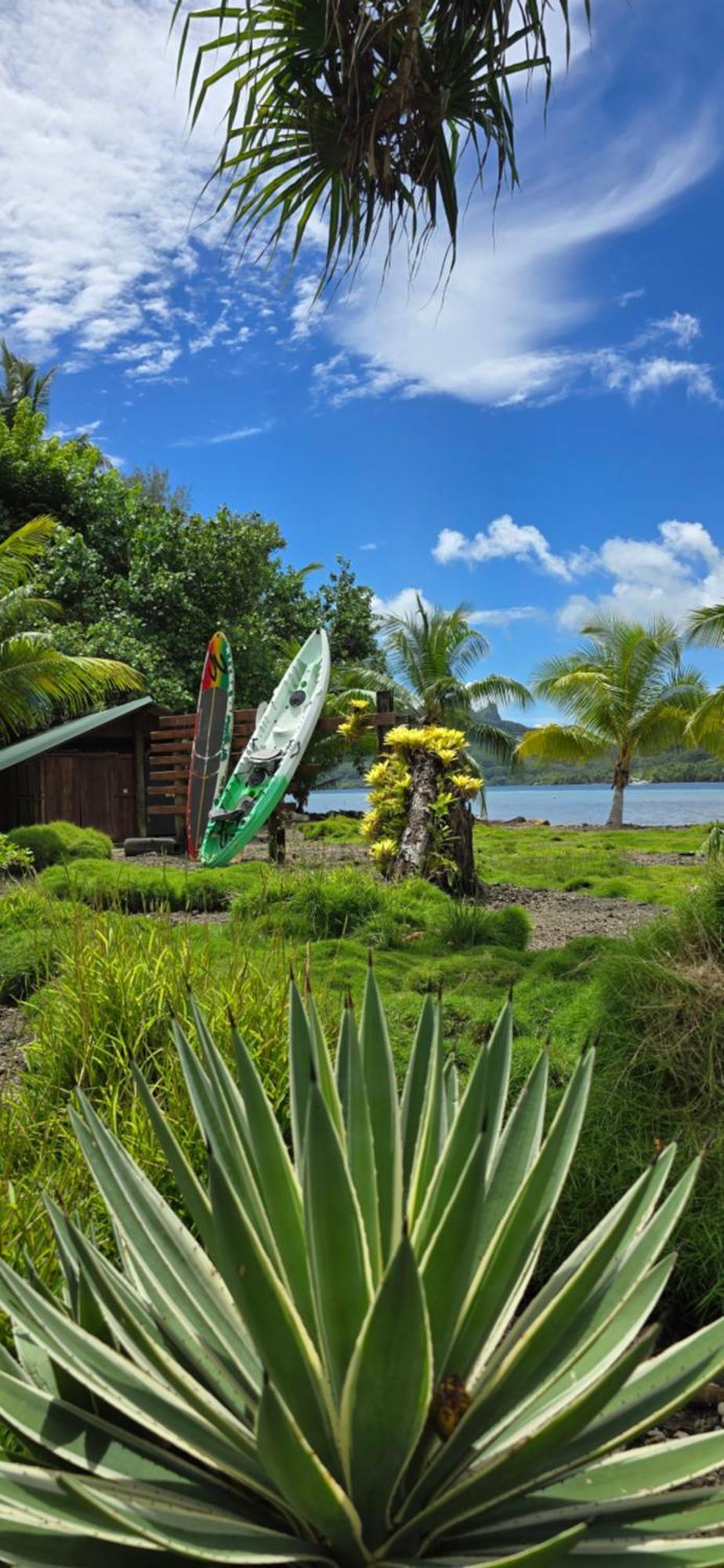 Huahine Manta Lodge Avec 4X4 Optionnel Haapu Zewnętrze zdjęcie